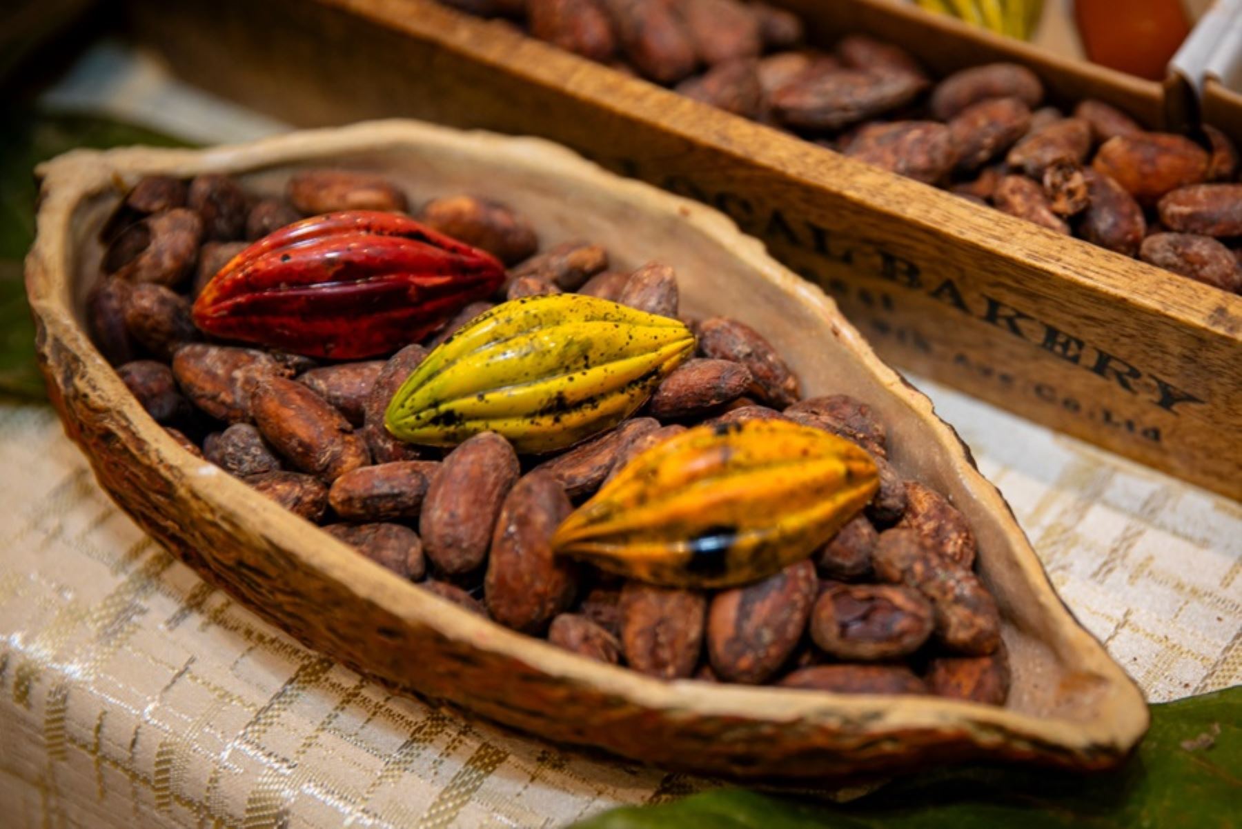 DÍA MUNDIAL DEL CACAO: ALIMENTO FAVORABLE PARA EL CUIDADO DE NUESTRO CORAZÓN Y EL CEREBRO.