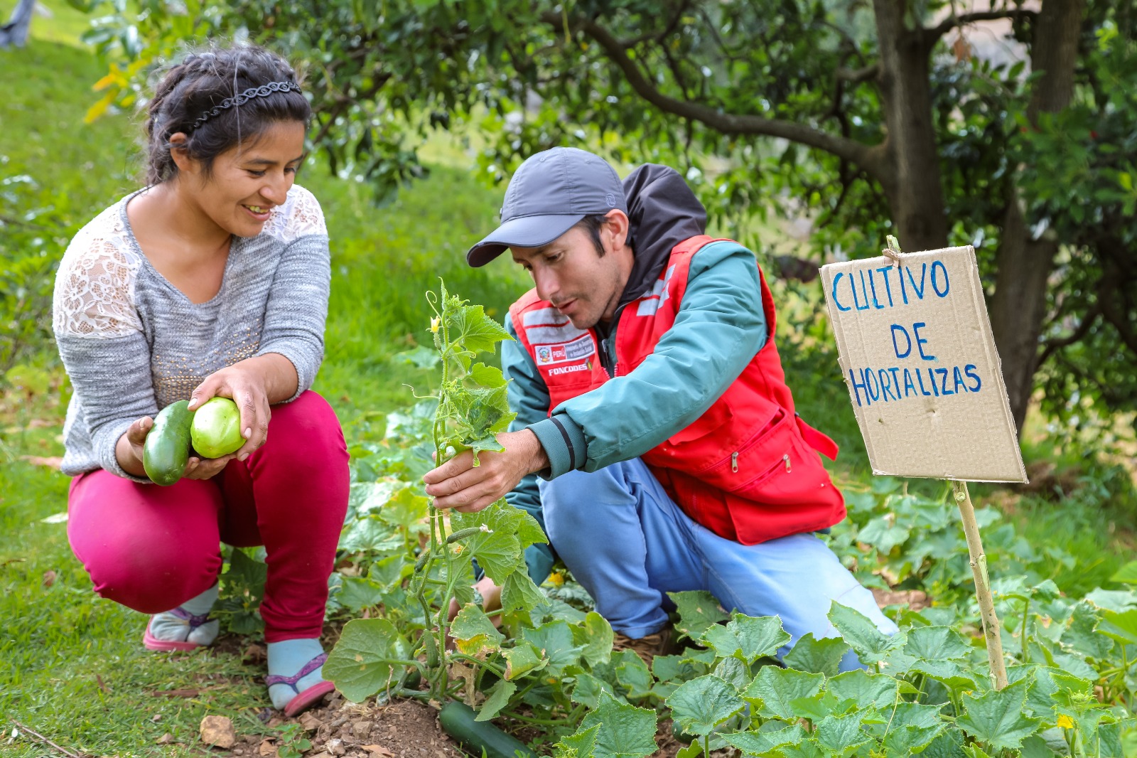 Midis: más de 2500 maestros Yachachiq capacitan en cultivos a familias del proyecto Haku Wiñay de Foncodes a nivel nacional