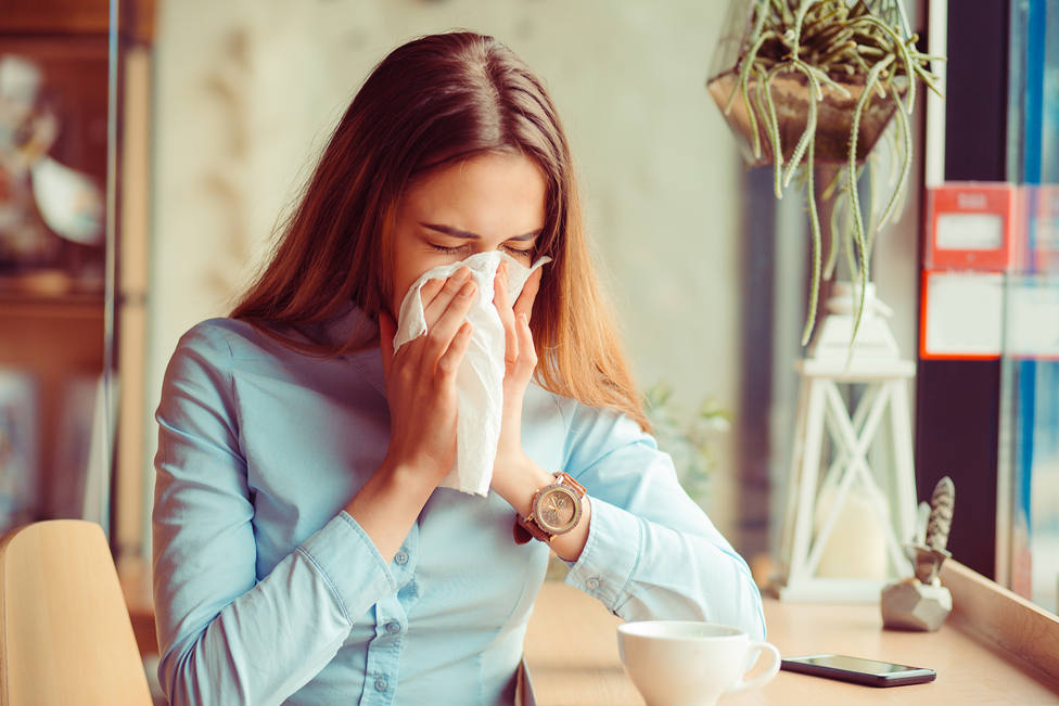 ¿Qué son alergias estacionales y cómo puedo combatirlas?