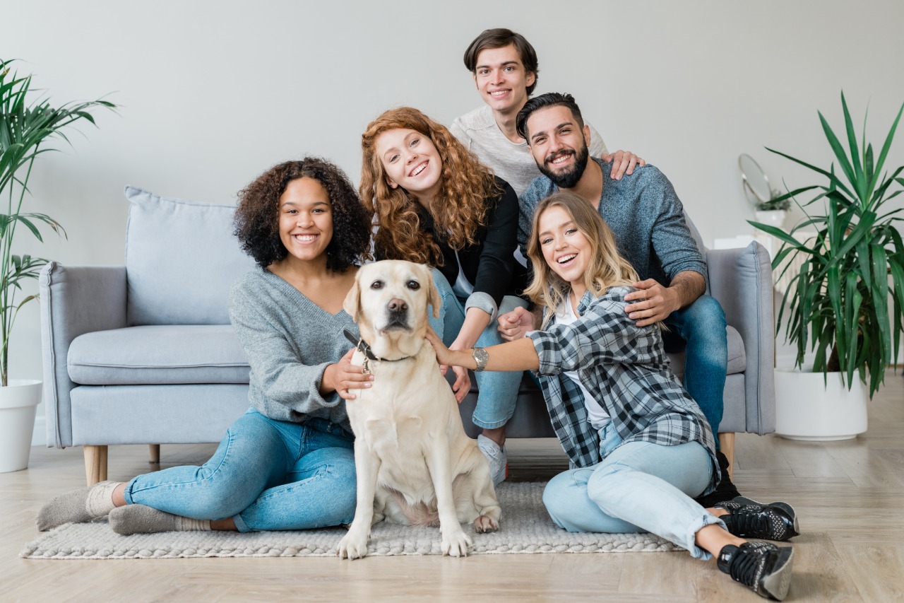Chubb y BanBif lanzan ‘Pet Lover’, un seguro de accidentes personales que incluye asistencia para mascotas en Perú
