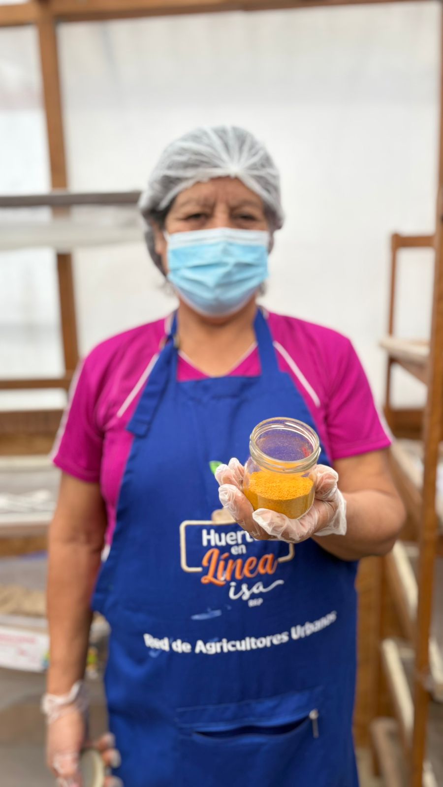 Cúrcuma: la especia dorada que cuida tu salud.