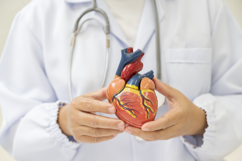 Día del Corazón: ¿Qué vitaminas y suplementos consumir para mejorar la salud cardiovascular?
