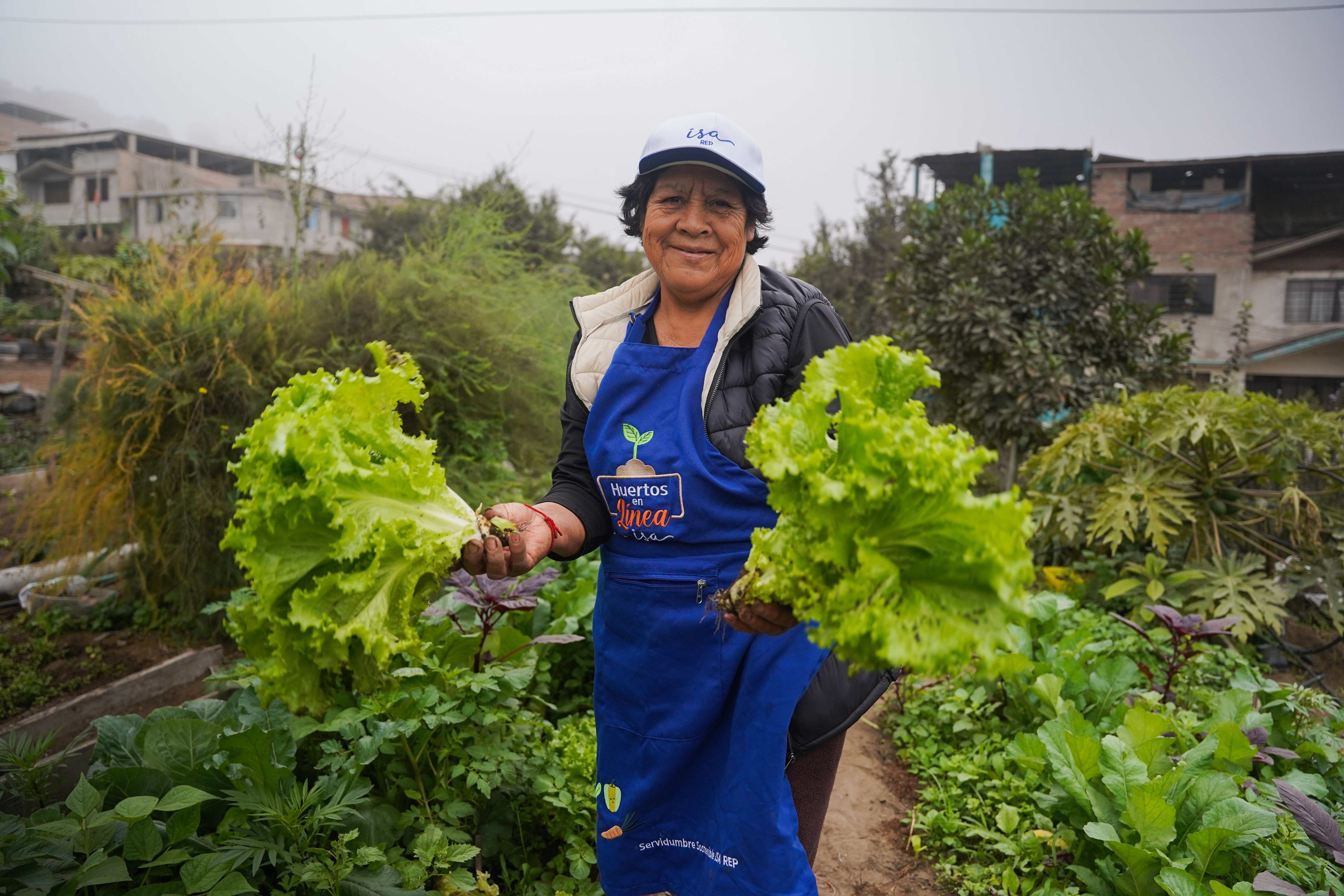 Día de la Alimentación: Conoce cómo los Huertos en Línea promueve la alimentación sostenible