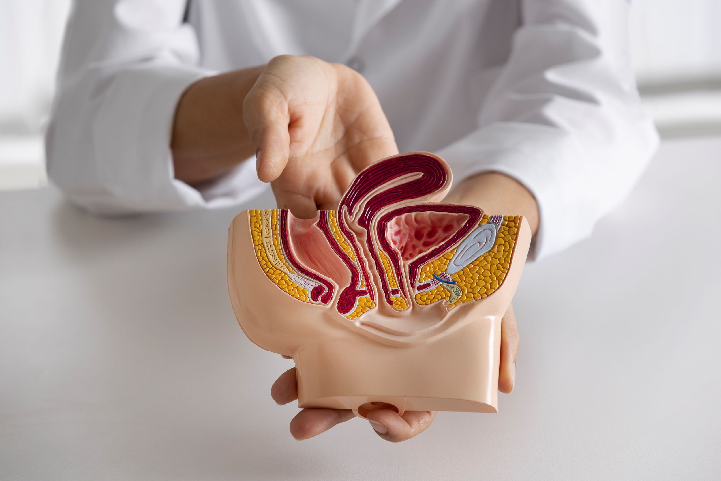 Vasectomía: 6 cosas que debe saber