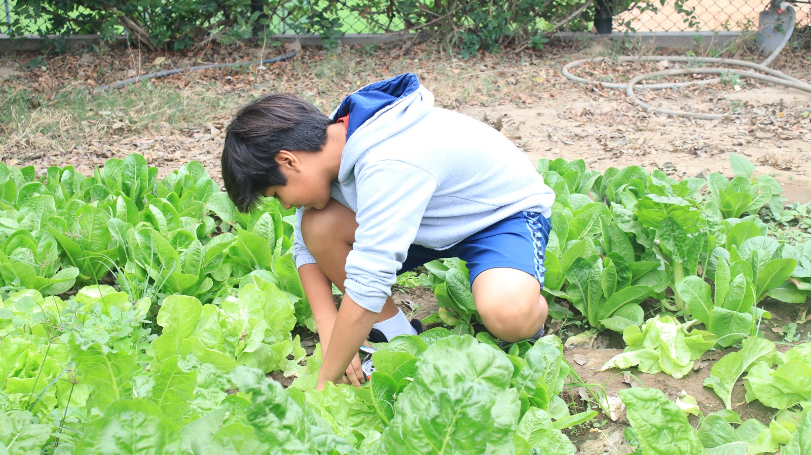 Conozca innovadoras tendencias sostenibles que se están implementando en los colegios de Lima