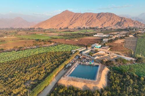 El agro peruano enfrenta el desafío de innovar para mantener su competitividad global