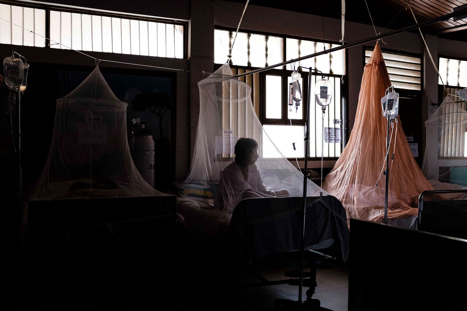 La crisis del dengue en Perú: 52 muertes exponen la deuda humana con la Amazonía