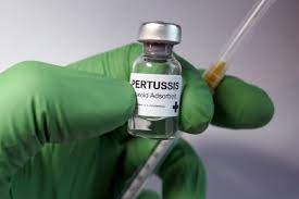 25 de setiembre: Día Latinoamericano de la Lucha contra la Pertussis Solo el 19.25% gestantes están vacunadas contra la enfermedad