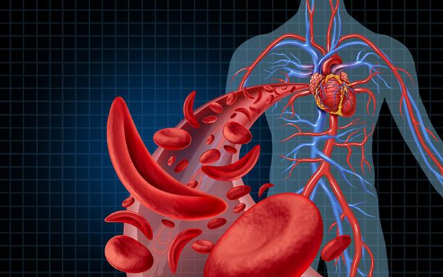 ¿Sientes cansancio y mareos frecuentes?