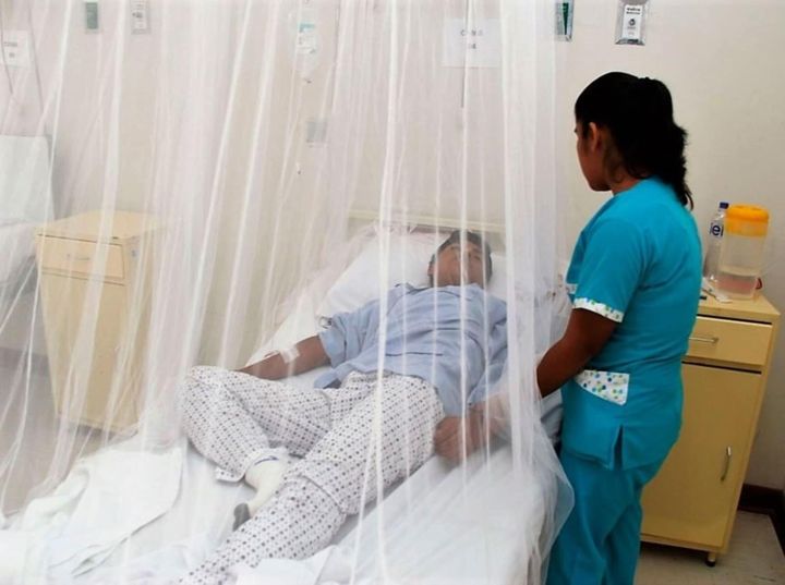 Nuevo fenómeno El Niño incrementaría casos de Dengue