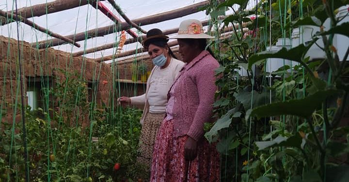 Mujeres enfrentan la escasez de alimentos apostando por la agricultura familiar