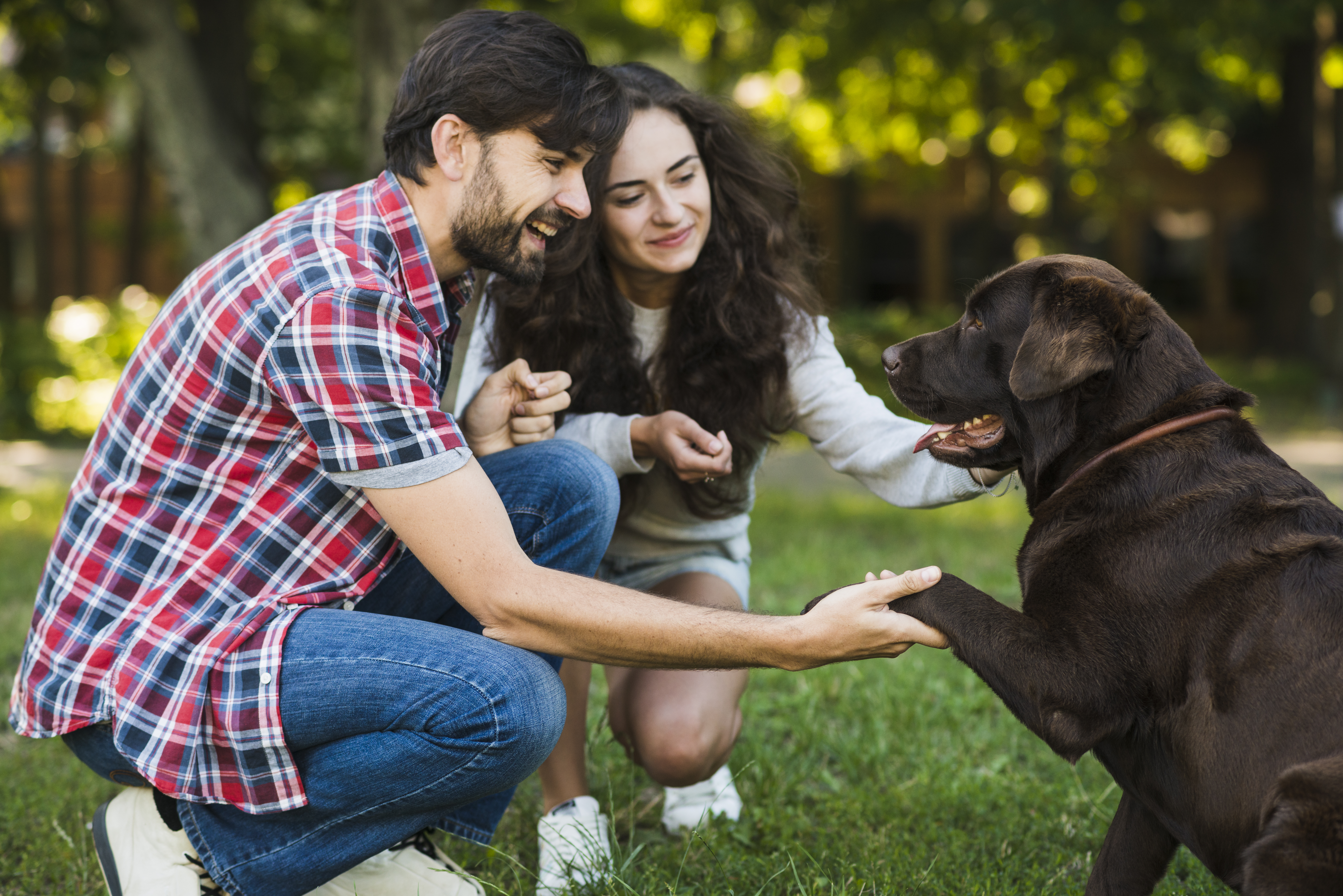 Día Mundial de las Zoonosis: prevenir enfermedades que se transmiten entre animales y personas protege la salud pública