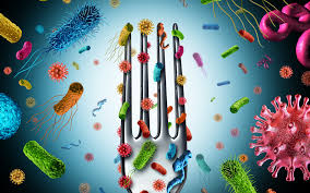 Verano 2026: ¿Cómo diferenciar una intoxicación alimentaria de un cuadro viral?