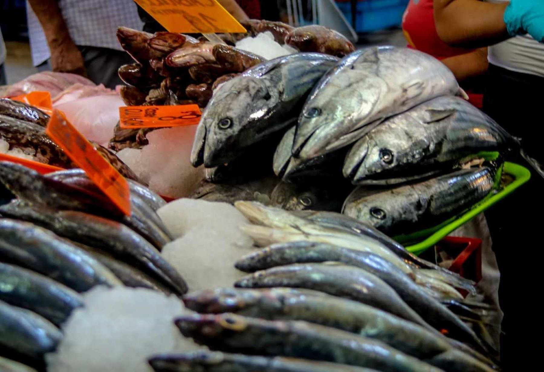Beneficios del consumo de pescado se aprovecharán en la medida que se asegure la calidad de su frescura