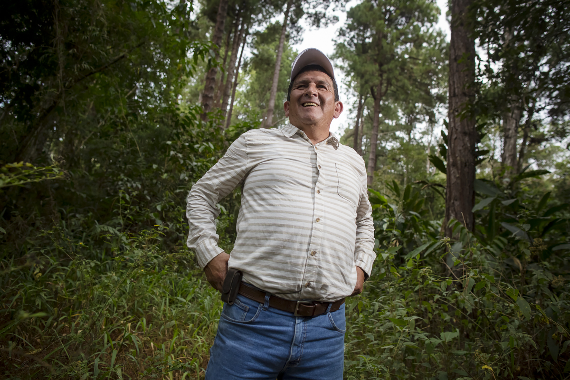 Día de la Preservación de los Bosques Tropicales: conoce el proyecto que busca proteger la reserva de Oxapampa