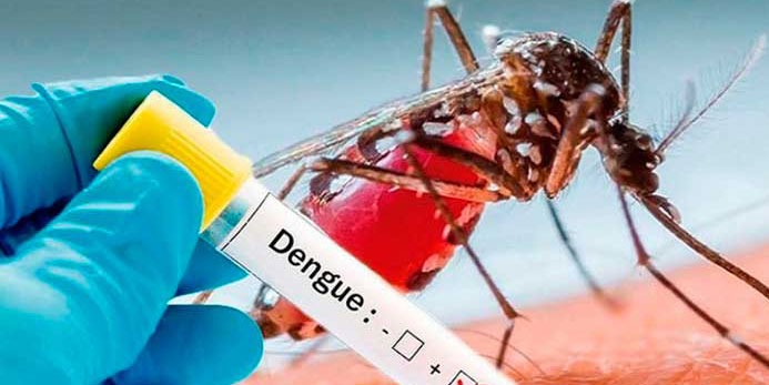 ¿Cómo debe alimentarse una persona con dengue?