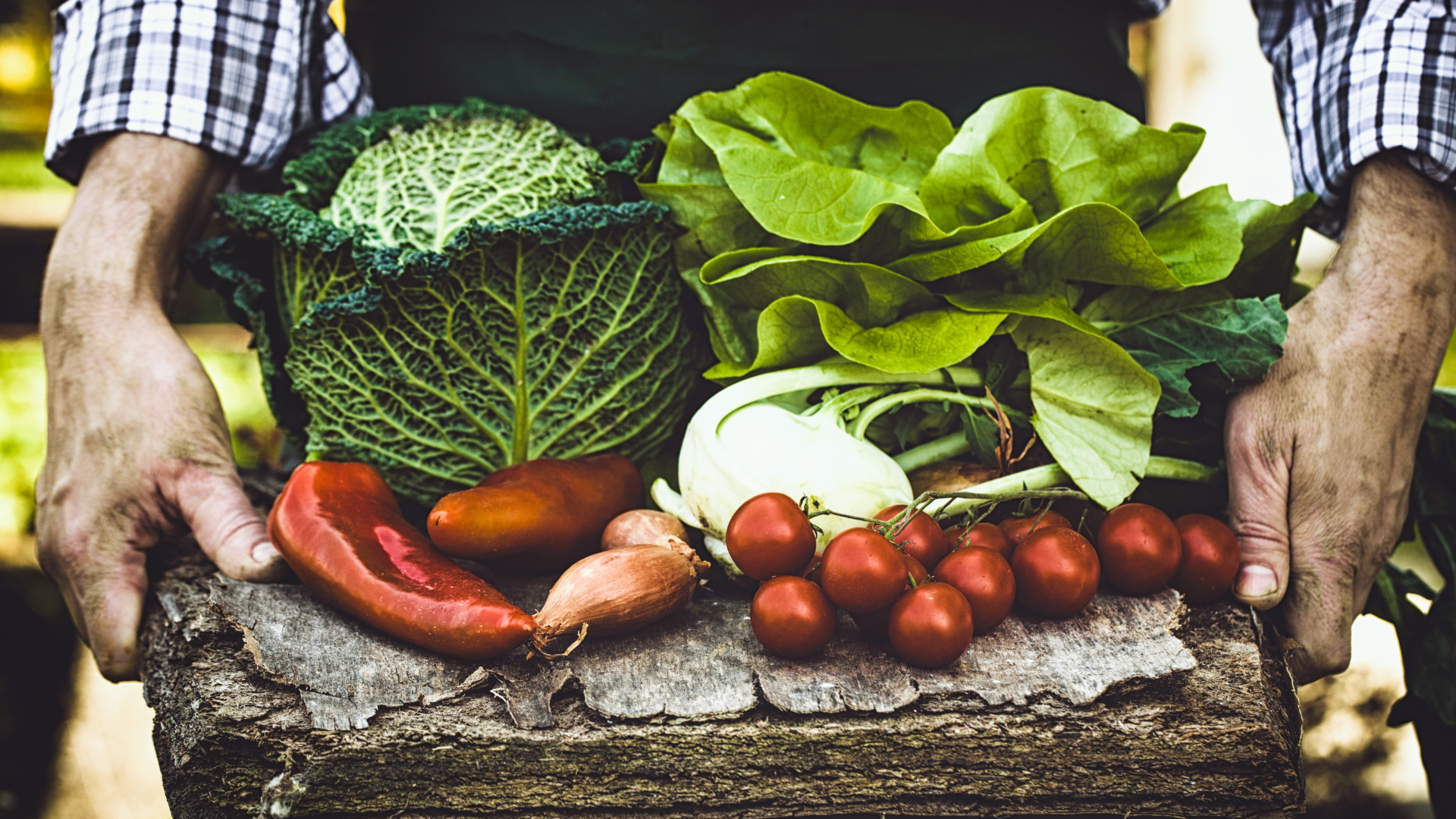 Día Mundial de la Salud: 600 millones de personas enferman por alimentos contaminados y el cuidado en campo es la clave para evitarlo