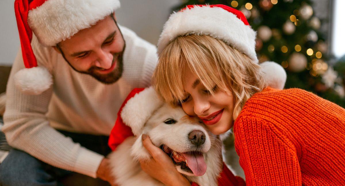 5 consejos para que tu mascota disfrute las fiestas sin miedo a los cohetes ni riesgos en la mesa