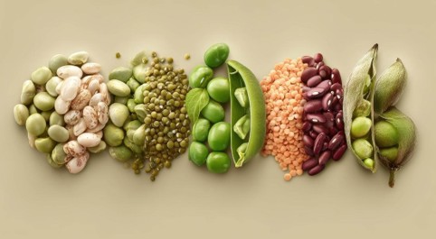 Día Mundial de las Legumbres: 5 motivos para incluir estos alimentos en tu plato