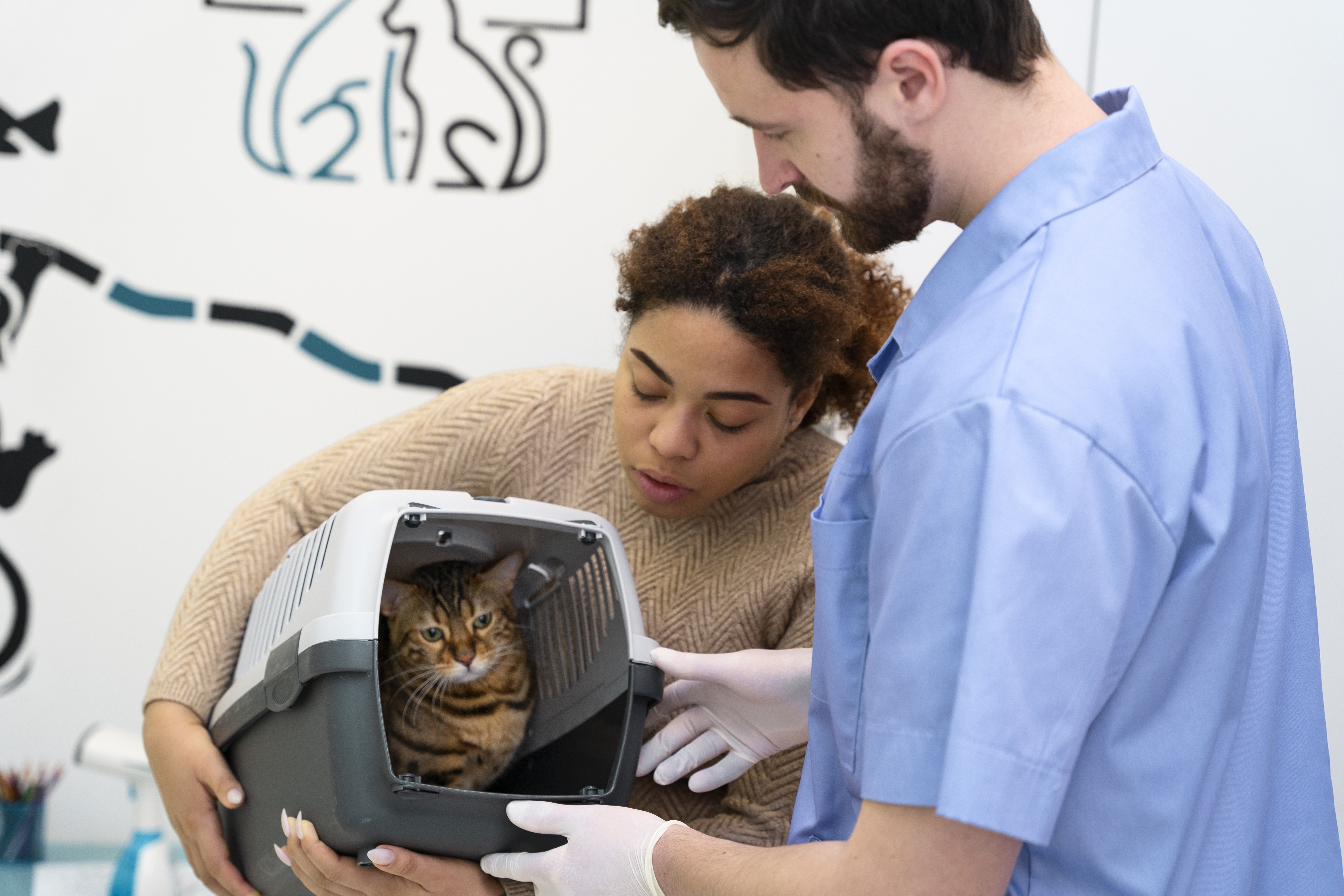 La labor comienza en la prevención: lo que los veterinarios ven y tú no