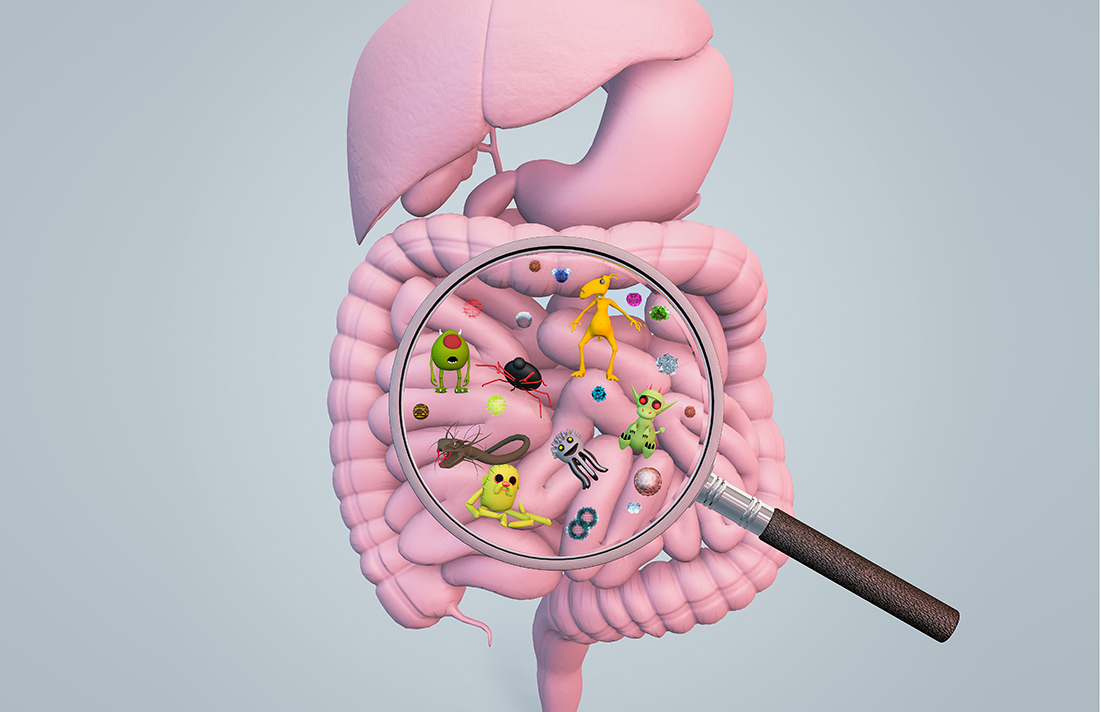 Estudio de la Clínica Cleveland vincula el microbioma intestinal y el cáncer de próstata agresivo