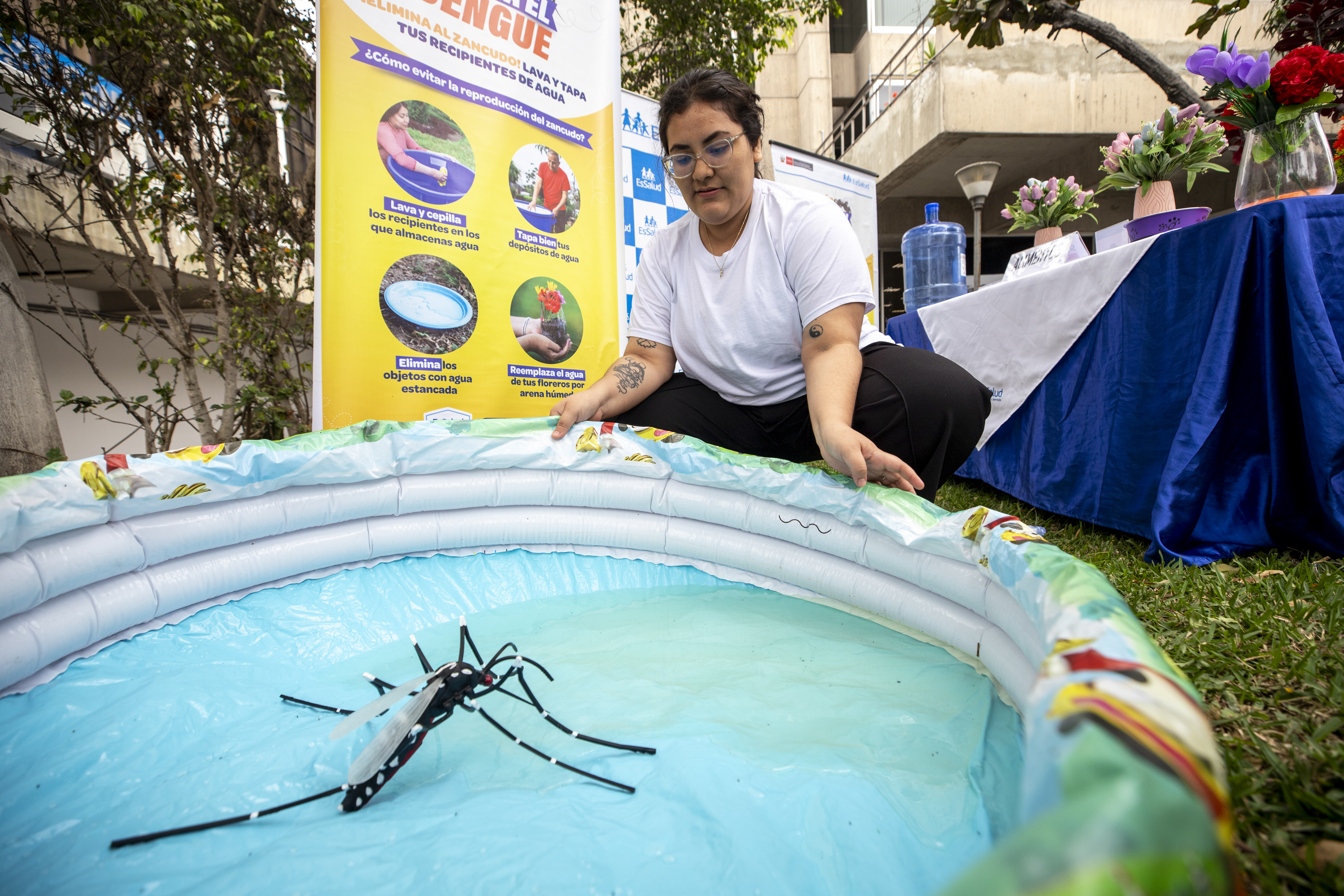 EsSalud: Eliminar criaderos del mosquito transmisor en los hogares es clave para frenar la propagación del dengue
