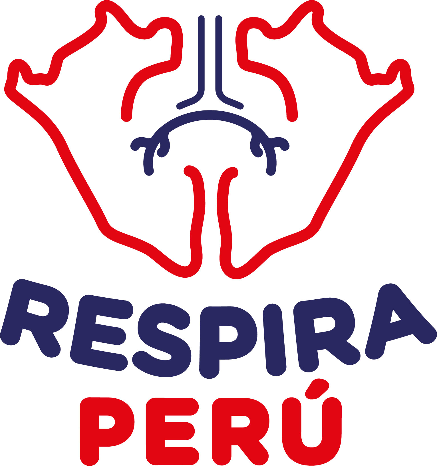 COMUNICADO DE RESPIRA PERU