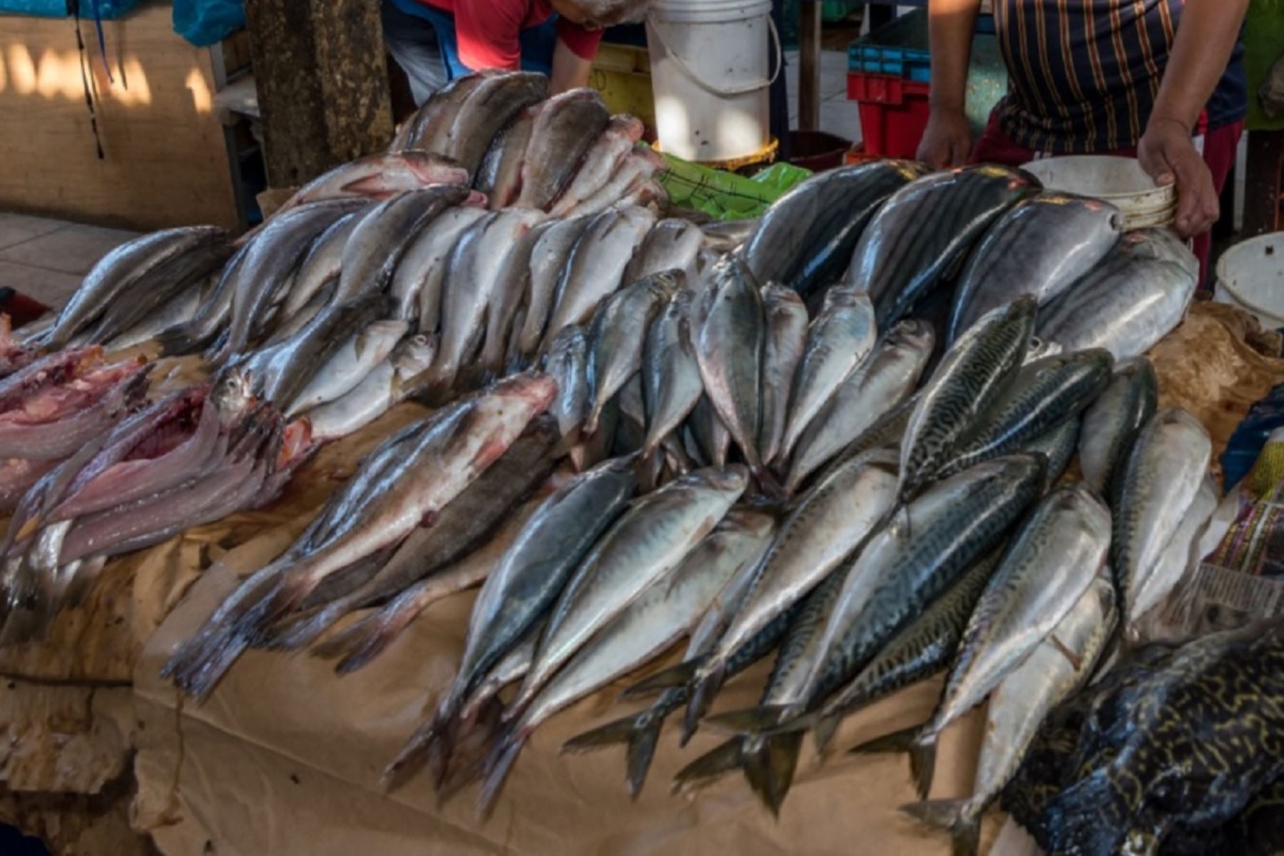 EL PESCADO, ALIMENTO REY EN SEMANA SANTA