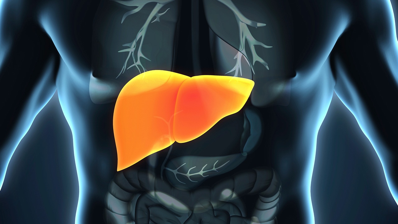 Hepatitis y cáncer de hígado: una amenaza silenciosa que se puede detectar a tiempo