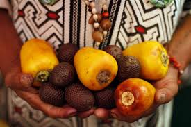 Fiesta de San Juan: Beneficios de los alimentos de la Selva Peruana.