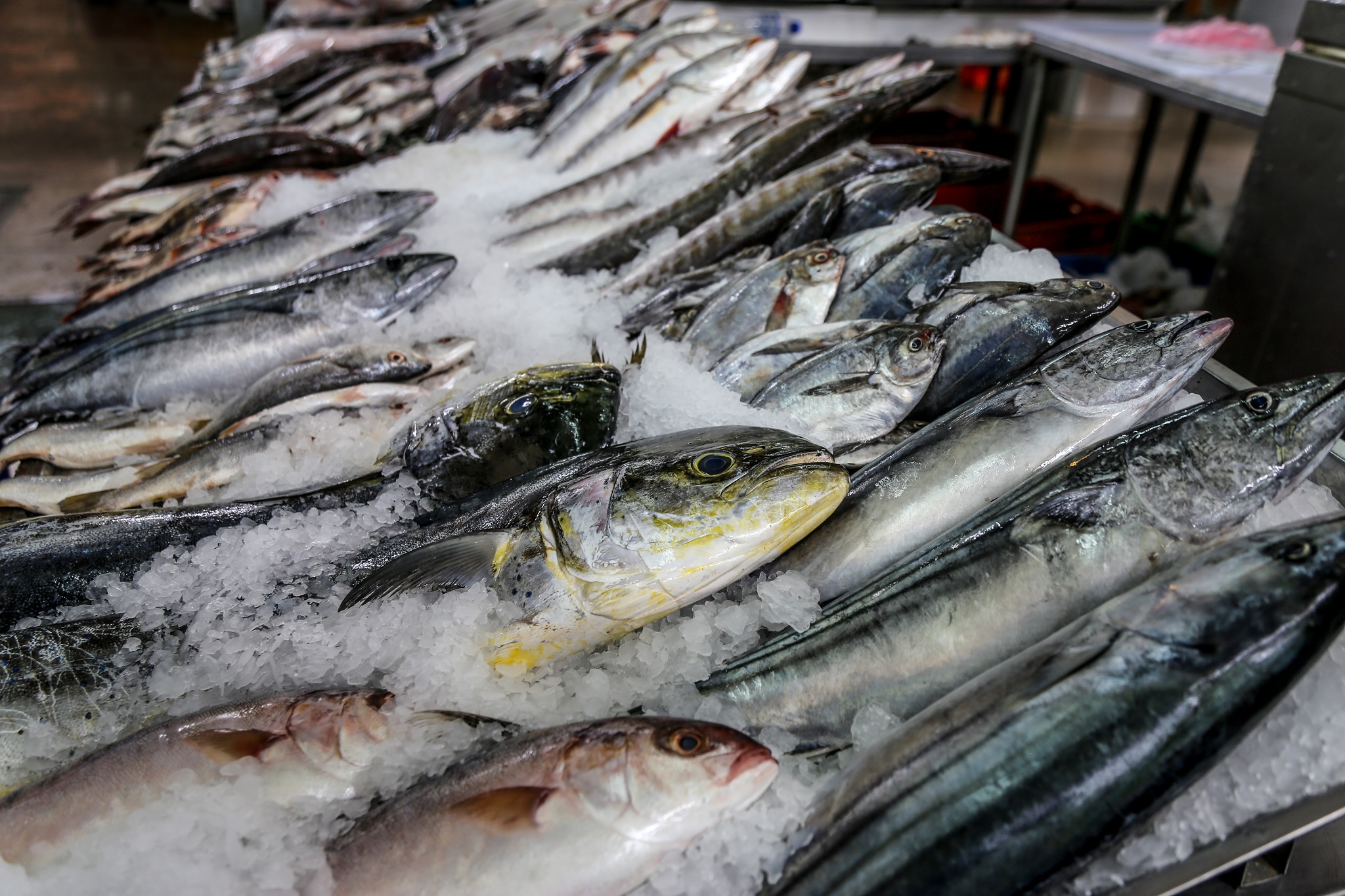 Aprende a reconocer pescado fresco y de calidad