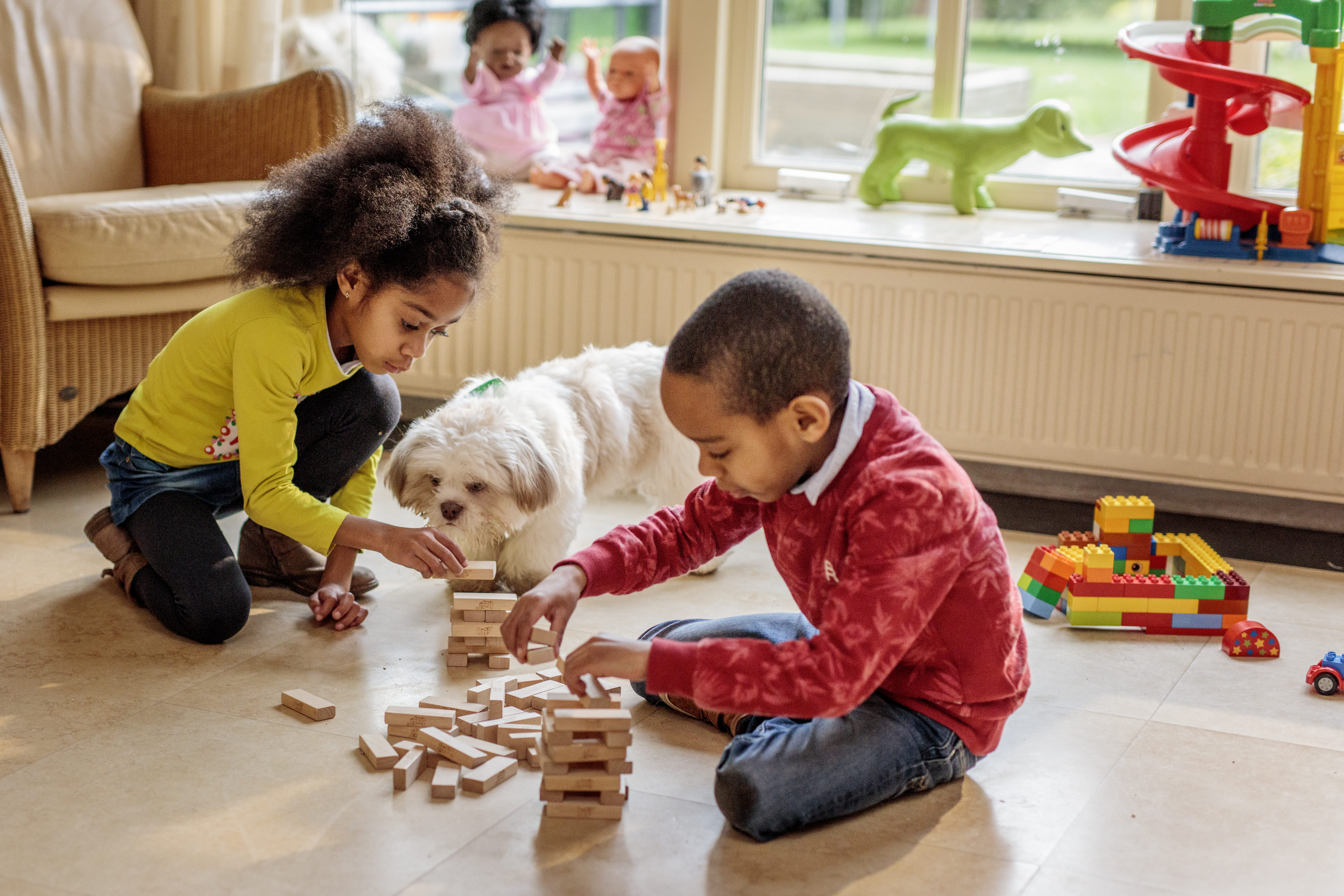 Mascotas y Bebés: ¿Cómo asegurar una convivencia saludable y armoniosa?