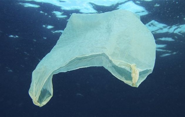 Bolsas biodegradables contaminan y afectan el ecosistema