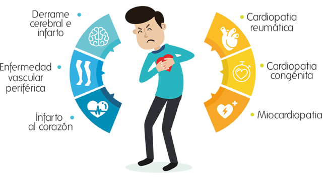 ¿Qué es una enfermedad Cardiovascular y qué síntomas tiene?