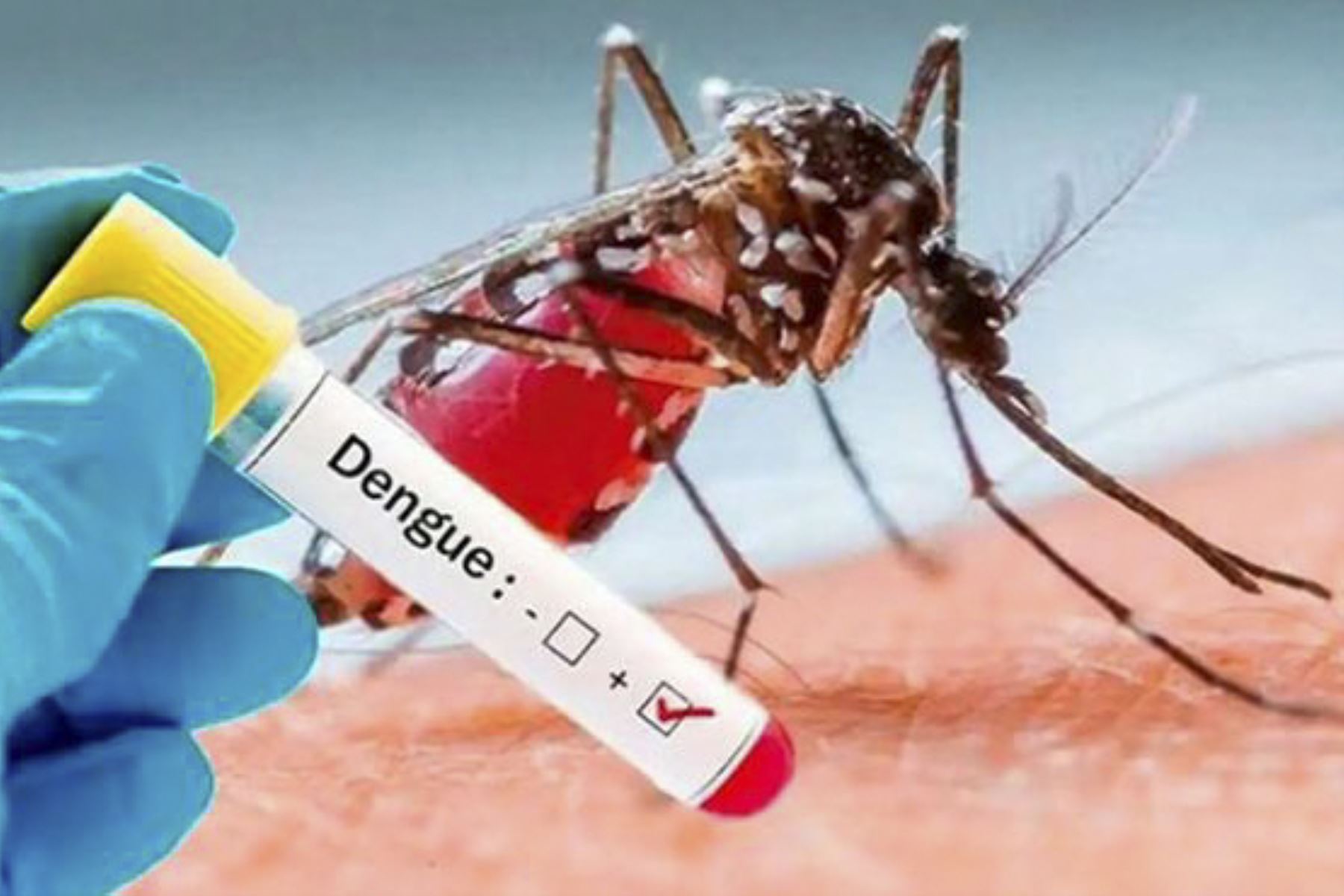 Consejos para prevenir el contagio de dengue