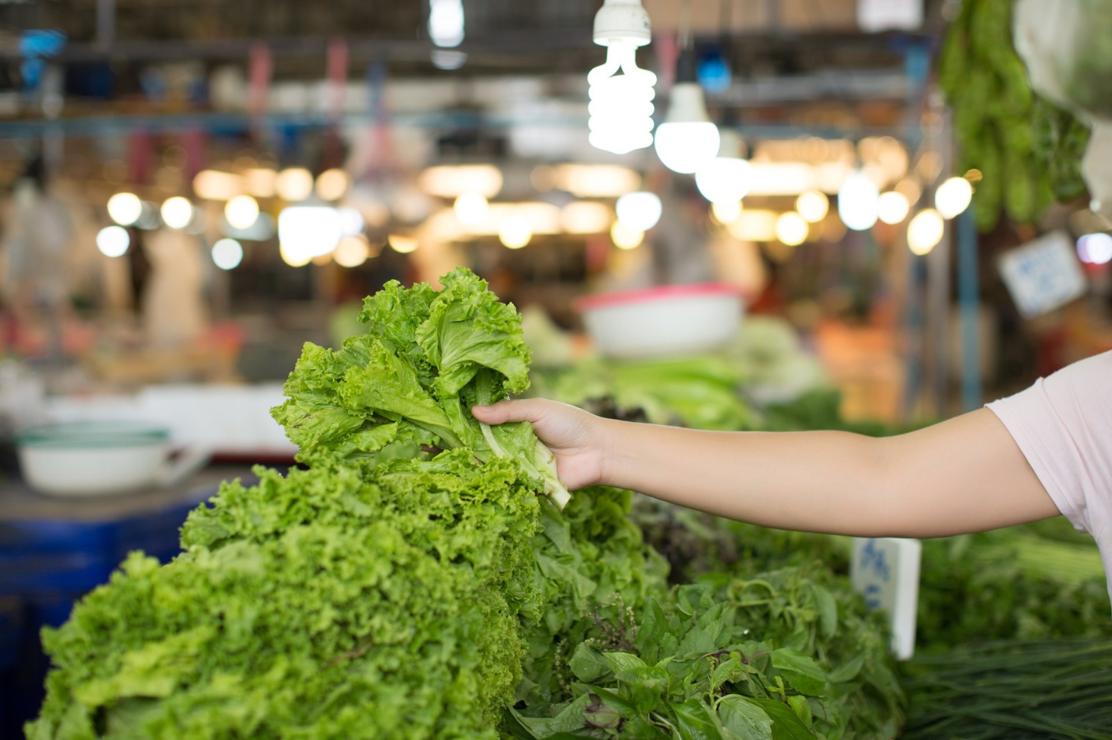 Especialistas coinciden que por la presencia de exceso de agro tóxicos en verduras podría conllevar diversas complicaciones en la salud como el cáncer.