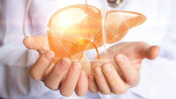 Hígado graso, una enfermedad silenciosa que puede derivar en cáncer