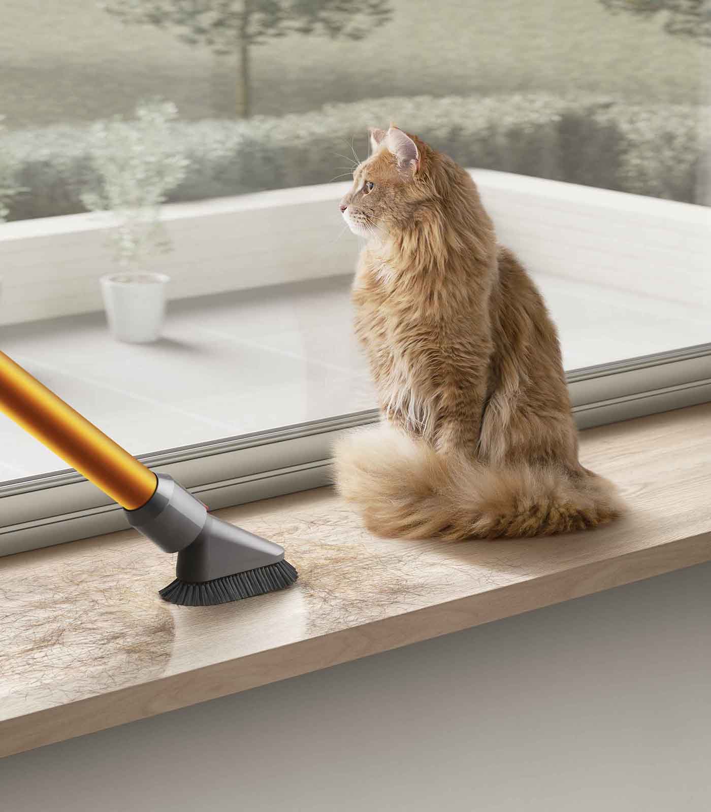 DILE ADIÓS A LOS PELOS DE TU MASCOTA CON ESTOS CONSEJOS DE LIMPIEZA