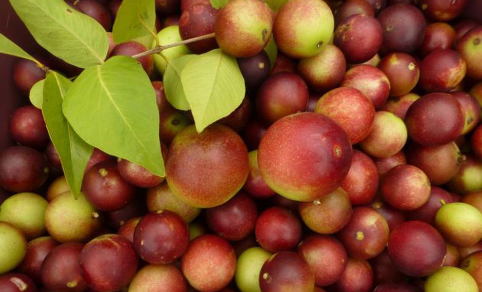 BENEFICIOS QUE DESCONOCÍAN DEL CAMU CAMU