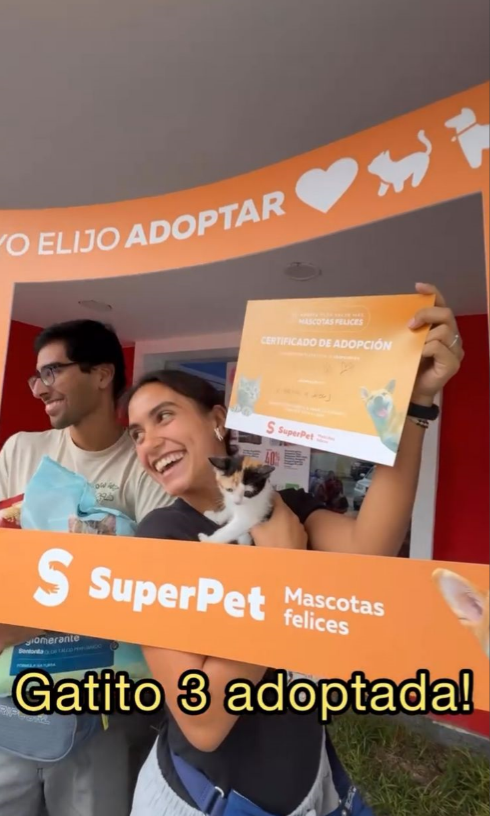 Historias que inspiran: Morocha, una gatita rescatada y la Jornada de adopción Superpet