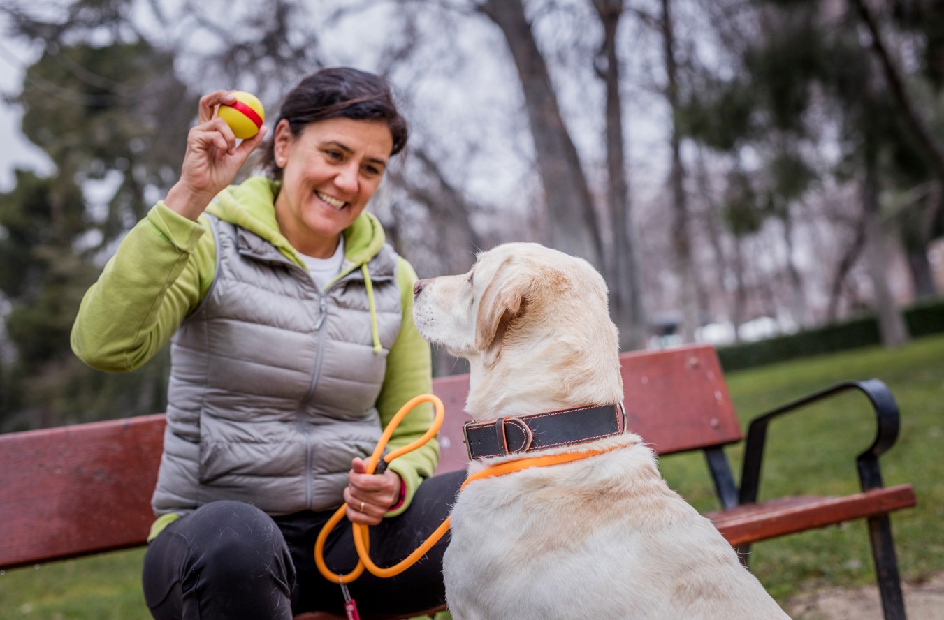 ¿Cómo afecta el frío a los perros y gatos?