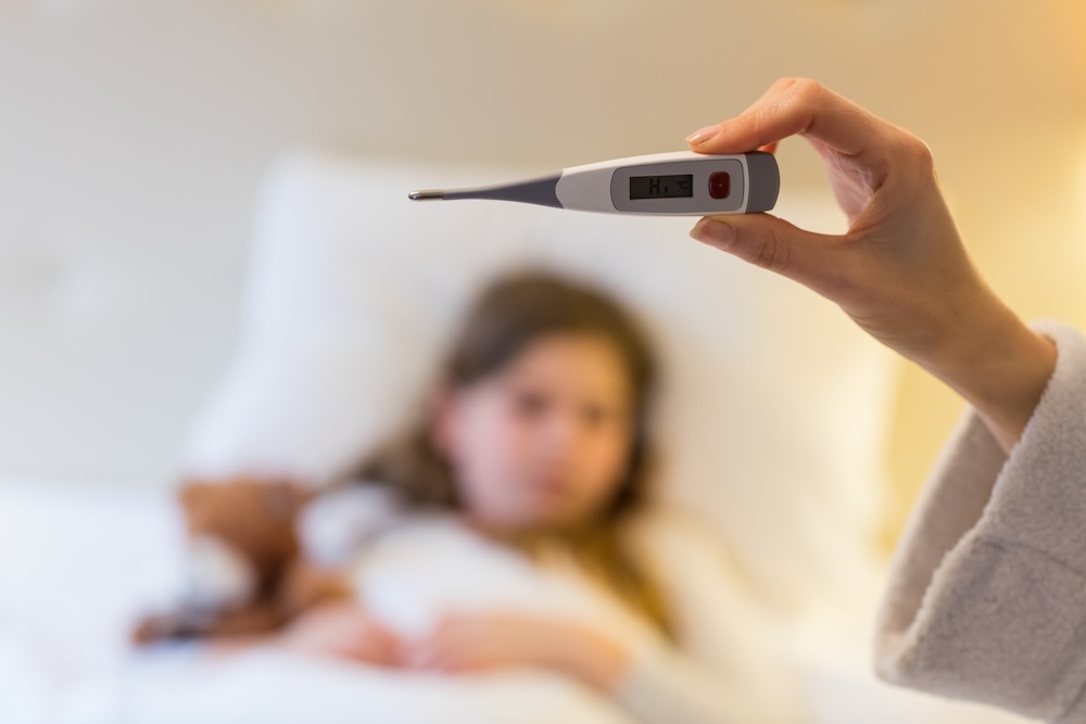 Hantavirus: qué es esta enfermedad y quiénes tienen mayor riesgo de contagio