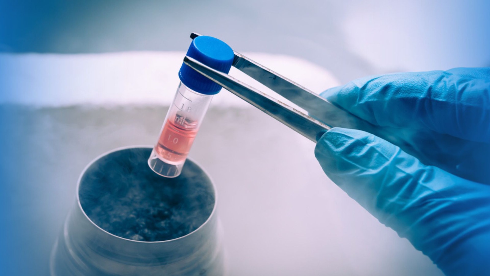 Maternidad y crecimiento profesional, decisiones compatibles gracias a la ciencia