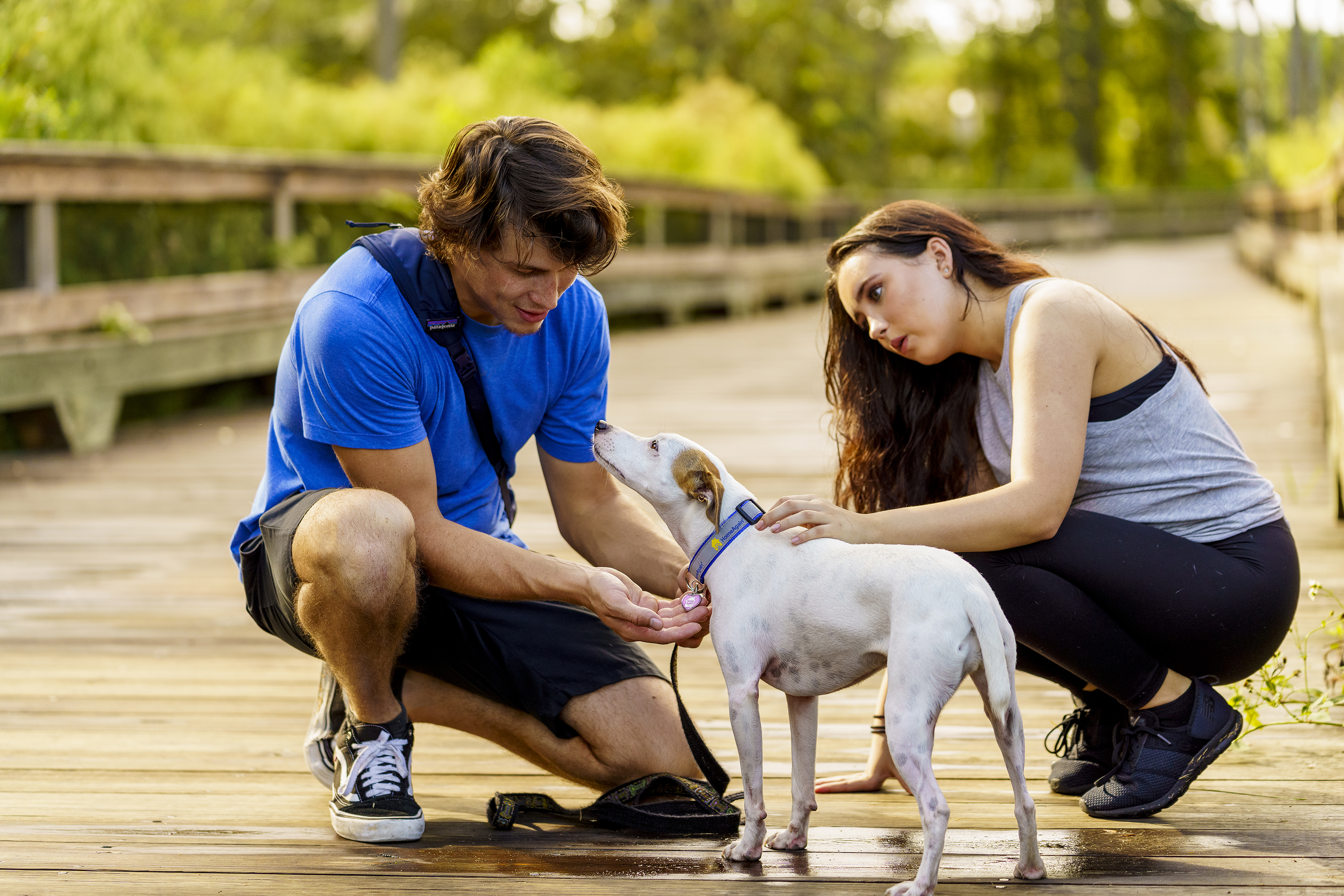 Día de las Zoonosis: Conoce enfermedades que las mascotas pueden transmitir a las personas y cómo prevenirlas