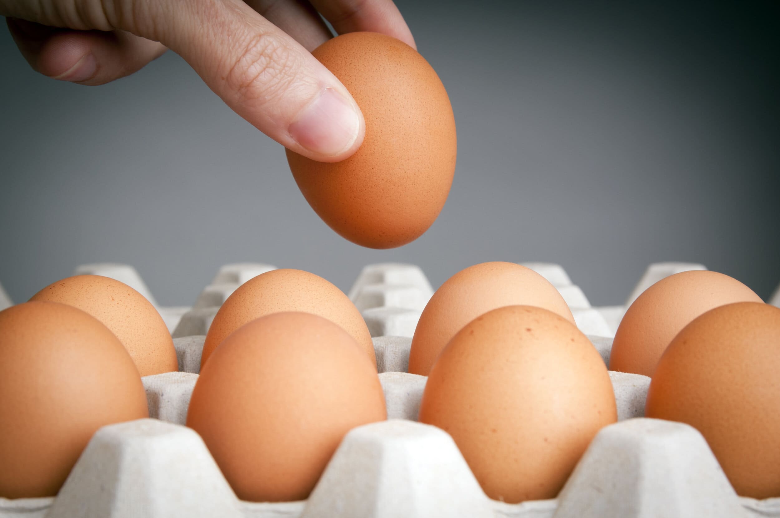 Huevo: cinco consejos esenciales para su consumo