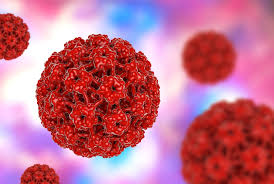 Lo que no sabía del virus del papiloma humano (VPH)