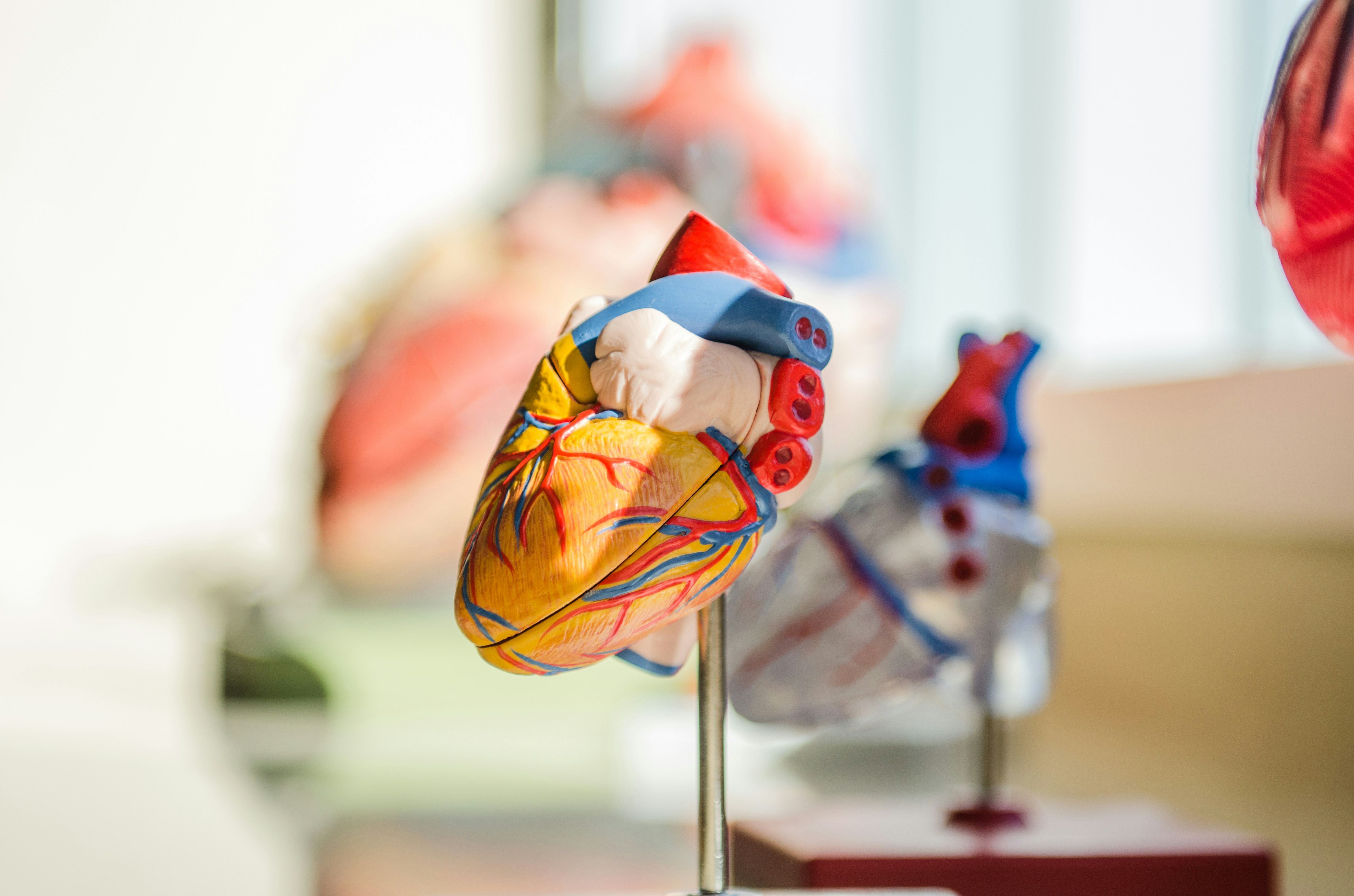 ¿Tu corazón está sano? Esta nueva tecnología puede decirlo con precisión asombrosa