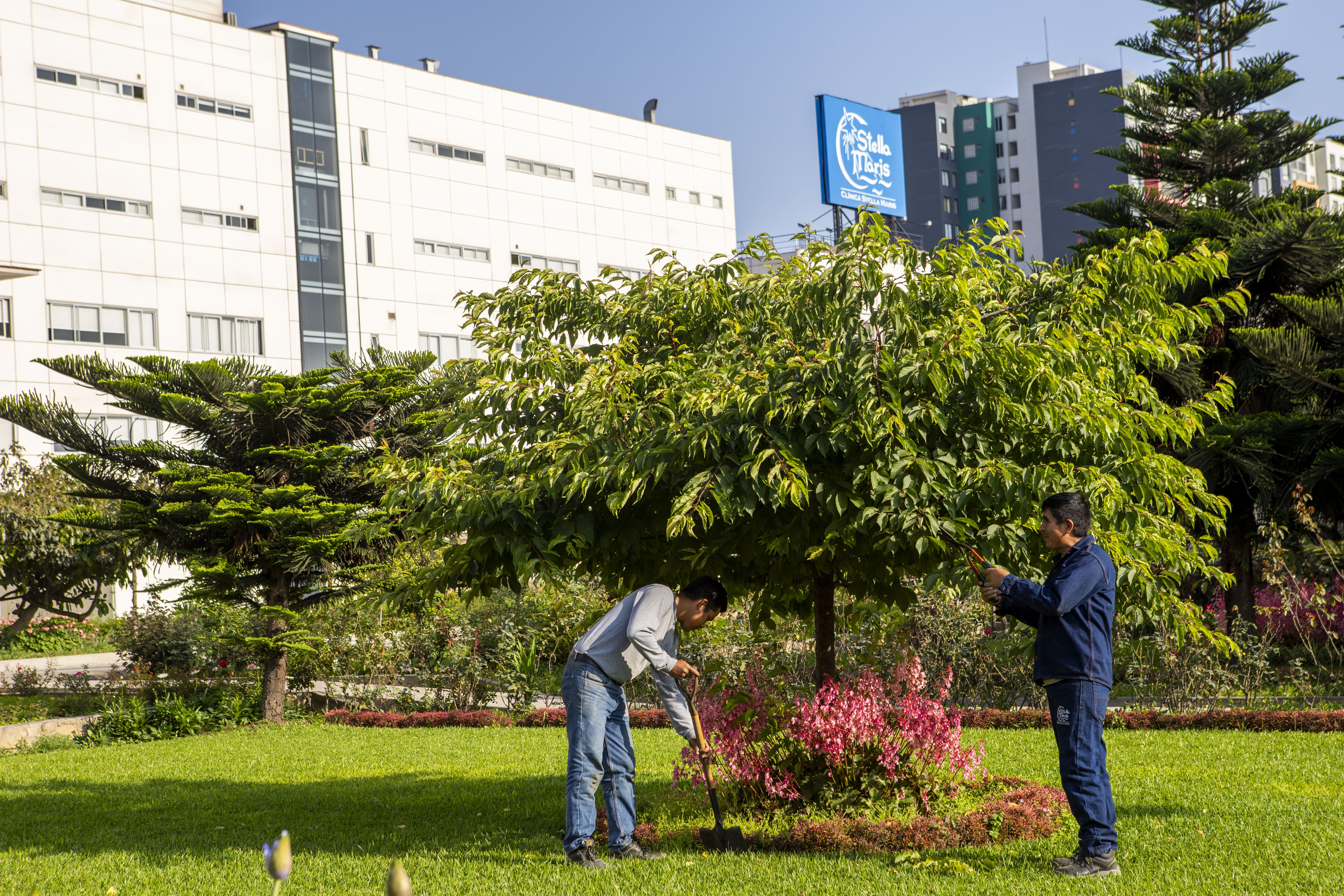 Premian a Clínica Stella Maris en iniciativa “Lima Ciudad Jardín”